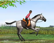 lovas - Horse jumping