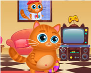 lovas - Lovely virtual cat