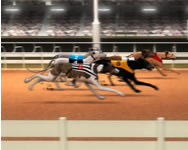 Greyhound racing lovas ingyen játék