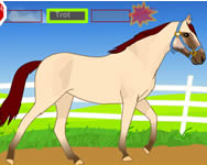 Horse dressage online
