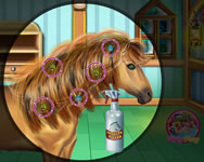 lovas - Horse hair salon