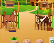 Horsecare apprenticeship játék