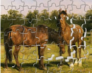 Horses grazing jigsaw online játék