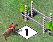 Show jumping online